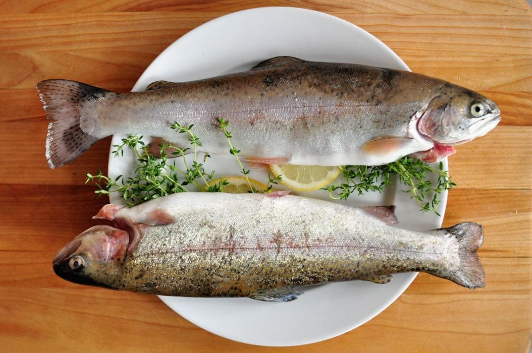pescado alimentos con proteínas
