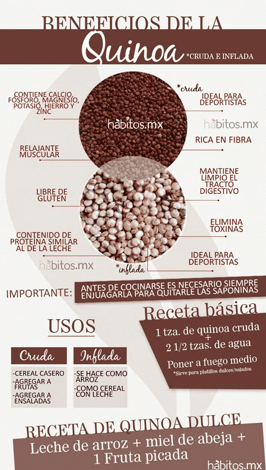 propiedades de la quinoa