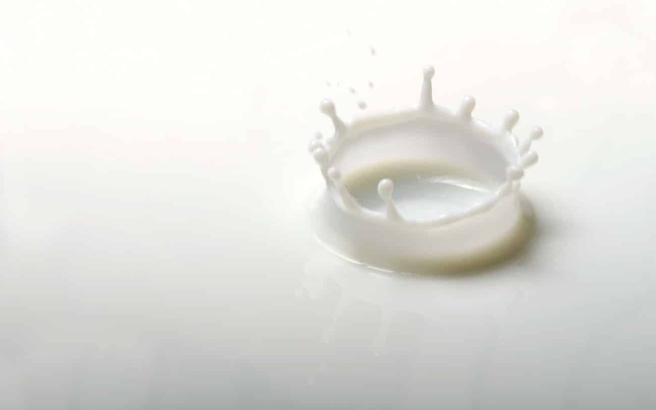 lácteos alimentos con proteínas