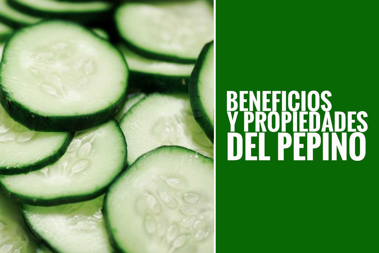 10 Propiedades Del Pepino Y Sus Beneficios Fullmusculo 10 Propiedades Del Pepino Y Sus Beneficios Fullmusculo