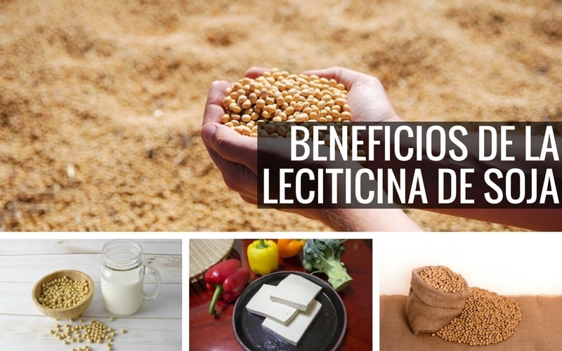 8 Beneficios De La Lecitina De Soja Para Nuestro Organismo 4195