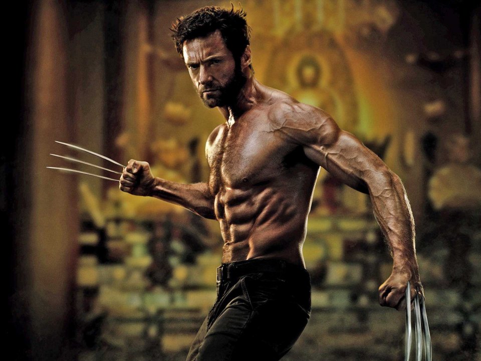 entrenamiento de Wolverine
