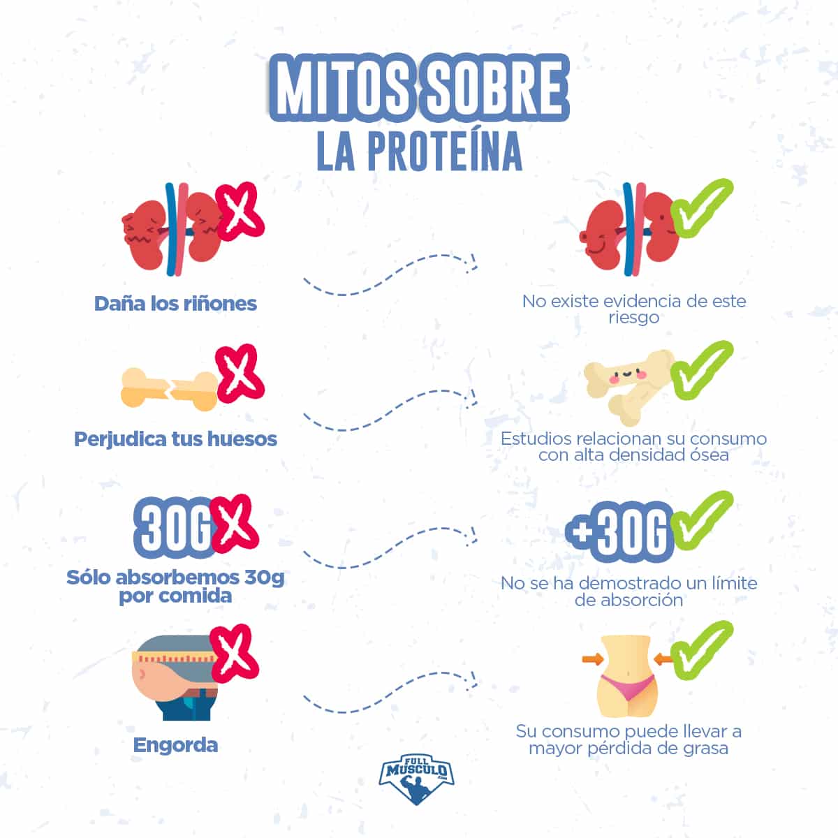 mitos proteina
