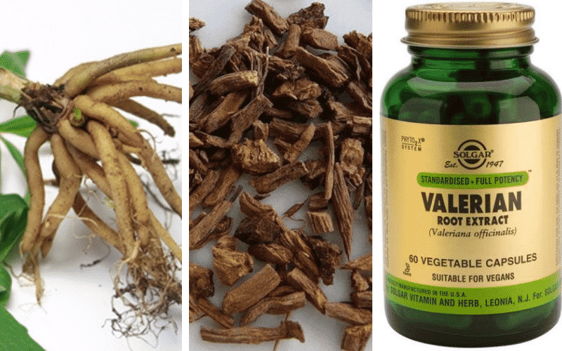 12 Propiedades y Beneficios de la Valeriana para tu salud