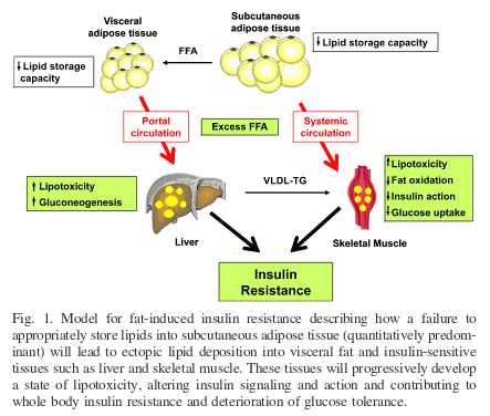 Figura 1 Flexibilidad metabolica