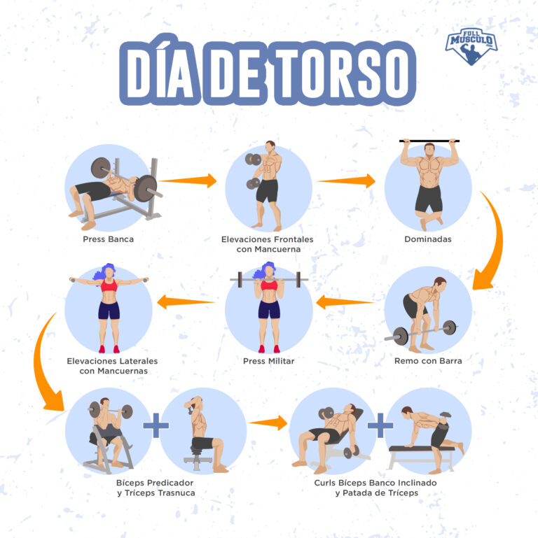 Rutina de Entrenamiento Torso Pierna para 4 días